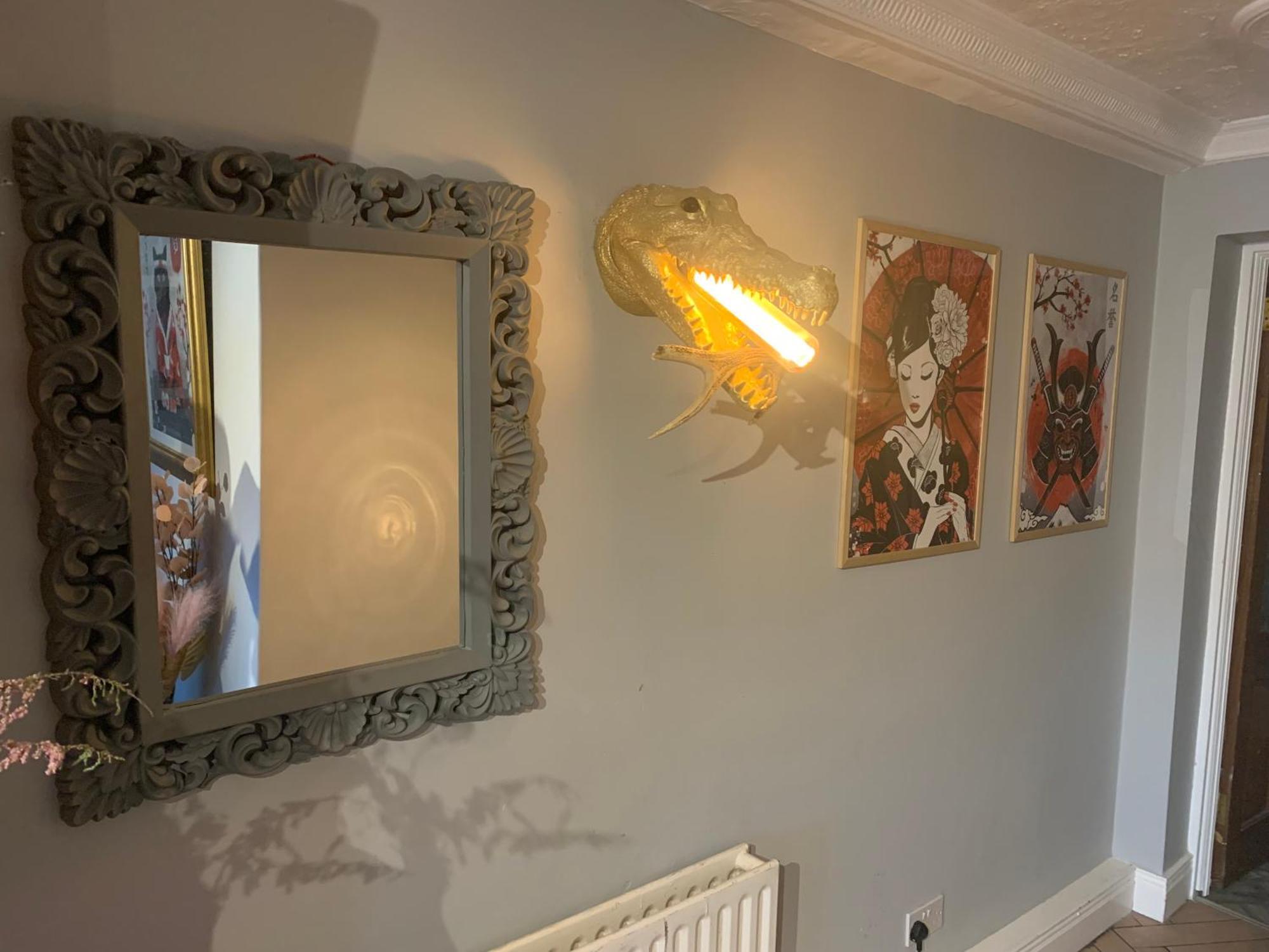 Wake Up With 2 Cats On Your Face Dublin Exteriér fotografie